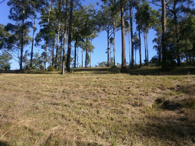17 Lake Ridge Drive, Kew NSW 2439