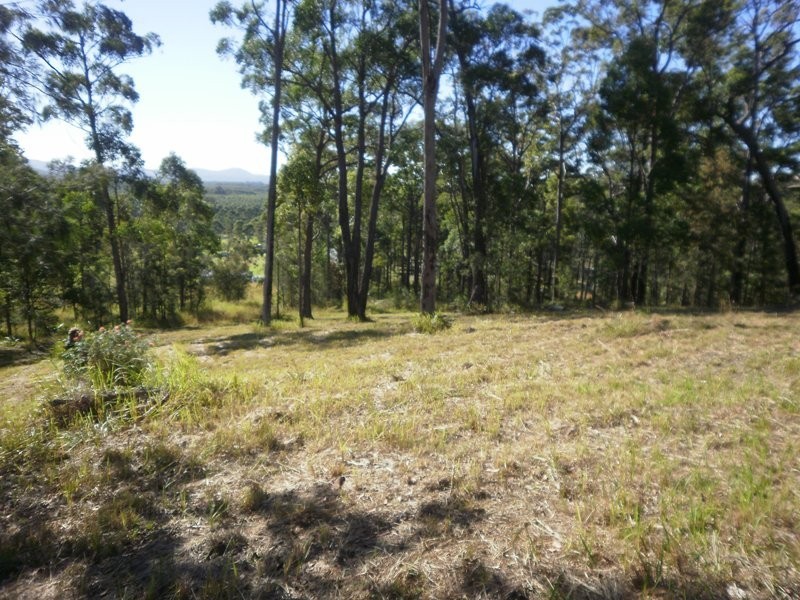 17 Lake Ridge Drive, Kew NSW 2439