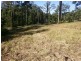17 Lake Ridge Drive, Kew NSW 2439