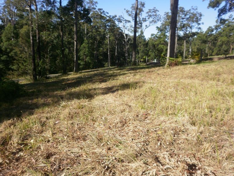 17 Lake Ridge Drive, Kew NSW 2439