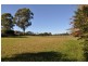 37 39 41 43 Oxley Park, Port Macquarie NSW 2444