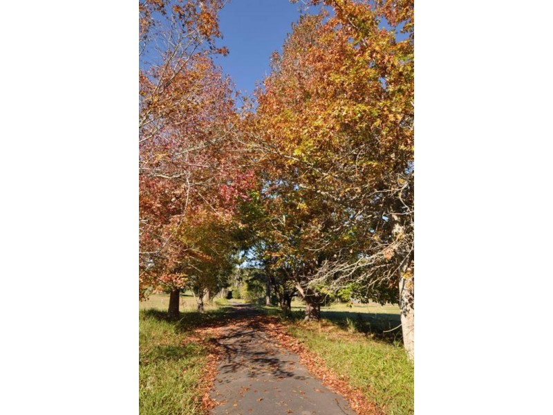 37 39 41 43 Oxley Park, Port Macquarie NSW 2444