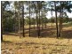 Lot 24 Yallaroi Road, Wauchope NSW 2446