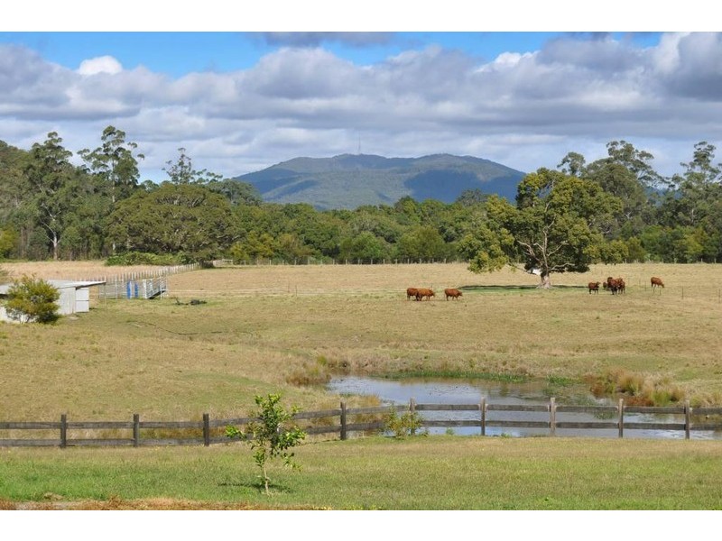 296 Logans Crossing Road, Kendall NSW 2439