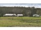 296 Logans Crossing Road, Kendall NSW 2439