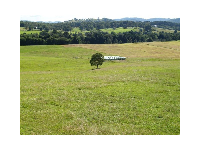 185 Huntingdon Road, Huntingdon NSW 2446
