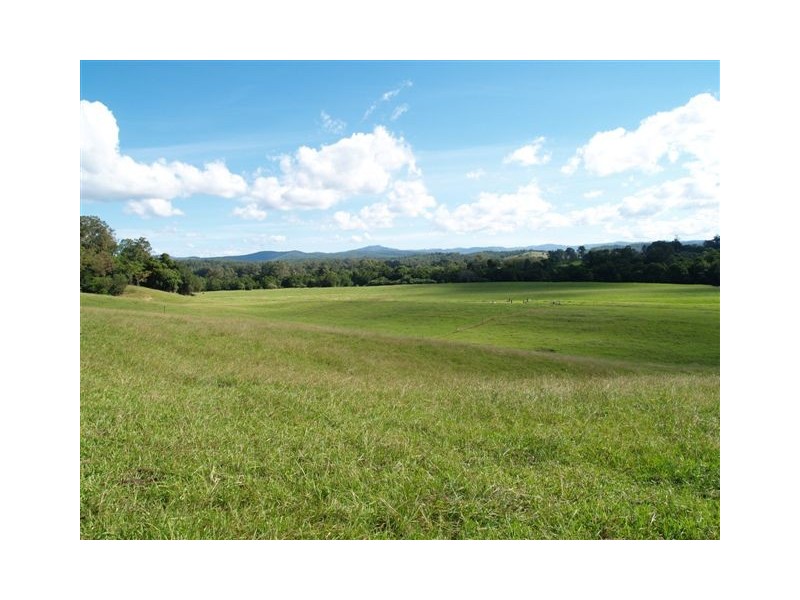 185 Huntingdon Road, Huntingdon NSW 2446