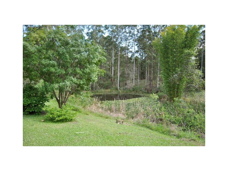 1101 Pembrooke Road, Pembrooke NSW 2446