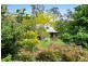 1101 Pembrooke Road, Pembrooke NSW 2446