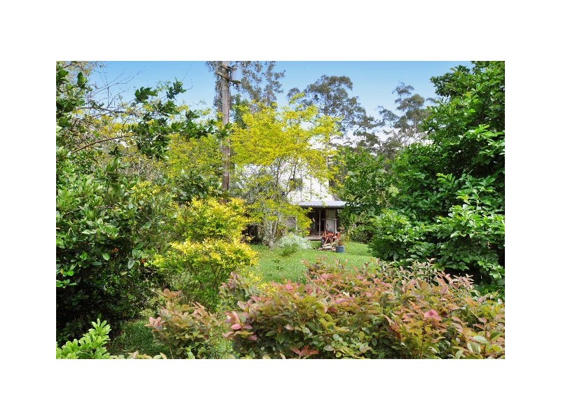 1101 Pembrooke Road, Pembrooke NSW 2446