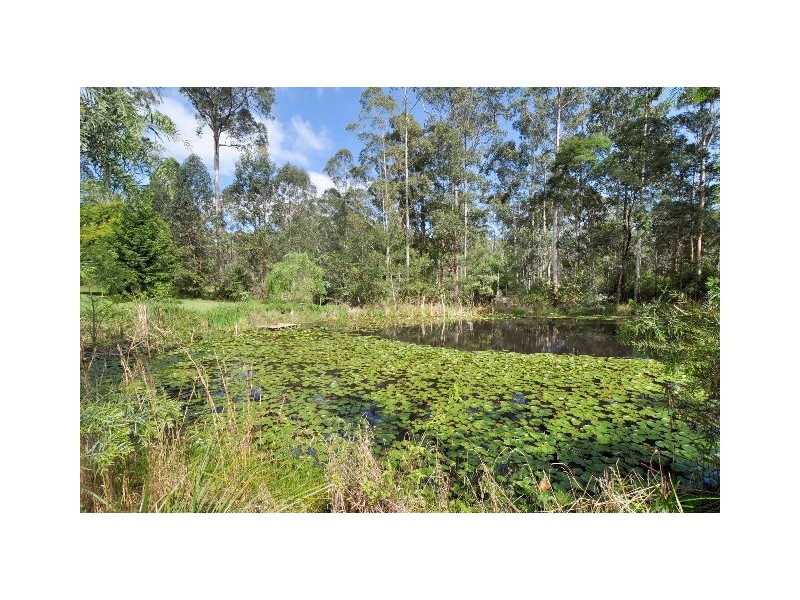 1101 Pembrooke Road, Pembrooke NSW 2446