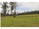 556 Bellangry Road, Bellangry NSW 2446