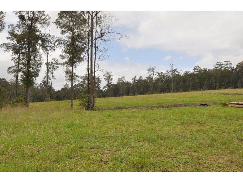 556 Bellangry Road, Bellangry NSW 2446