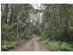 556 Bellangry Road, Bellangry NSW 2446