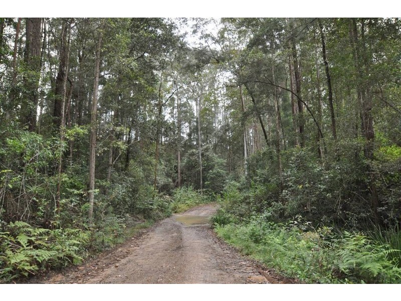 556 Bellangry Road, Bellangry NSW 2446