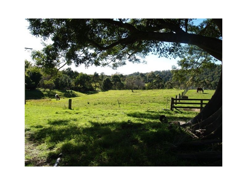 160 Logans Crossing Rd, Kendall NSW 2439