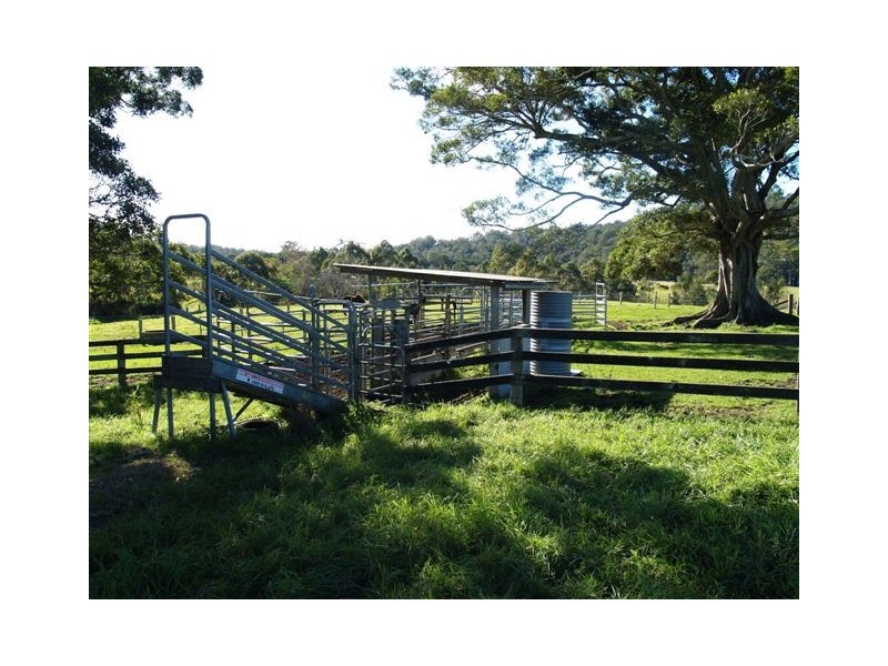 160 Logans Crossing Rd, Kendall NSW 2439