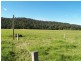 160 Logans Crossing Rd, Kendall NSW 2439