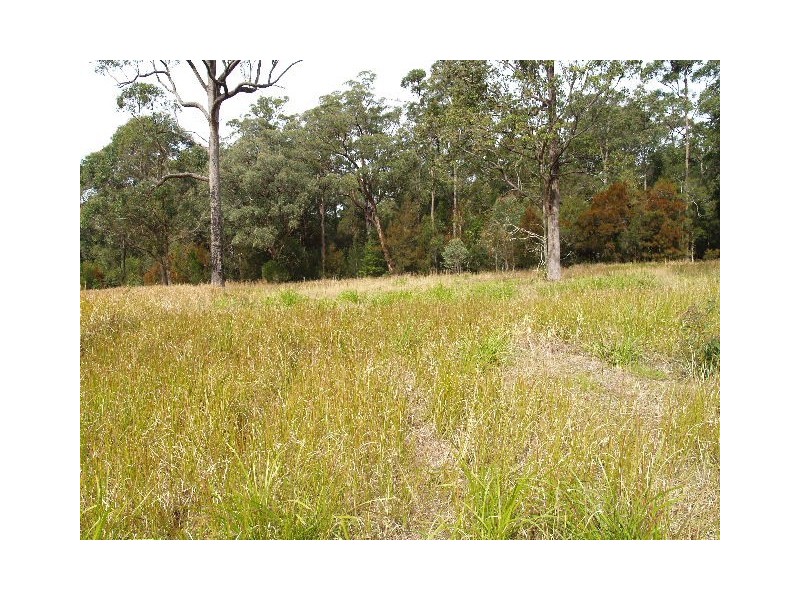 161 King Creek Road, King Creek NSW 2446