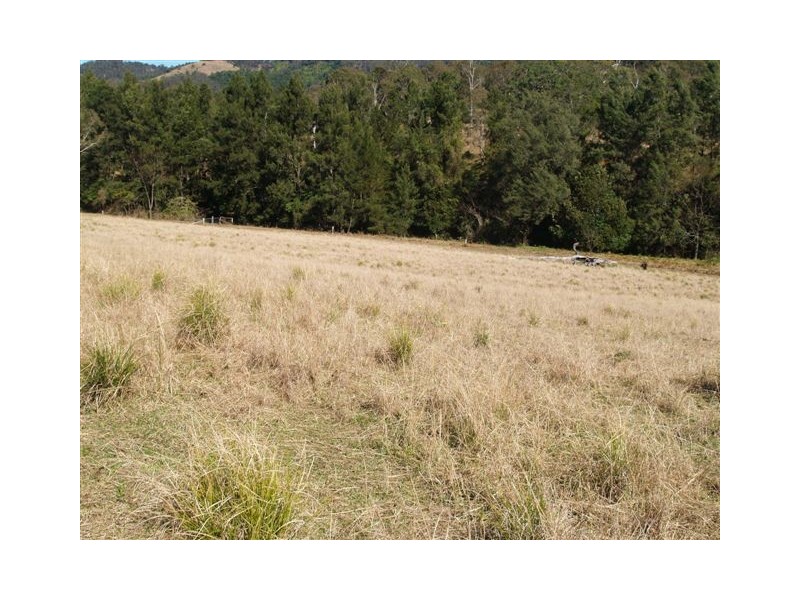 Lot 27  Old Highway, Yarras NSW 2446