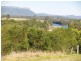 691 Beechwood Road, Beechwood NSW 2446