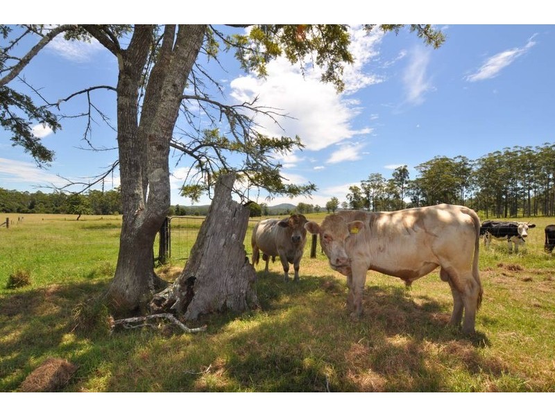 1106 Bago Road, Herons Creek NSW 2443