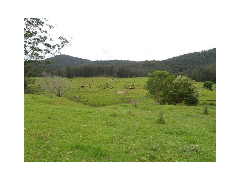 488 Brookhouse Road, Pembrooke NSW 2446