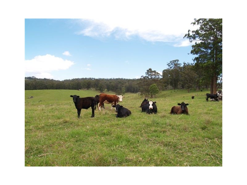 488 Brookhouse Road, Pembrooke NSW 2446