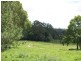 Lot 3, 544 Beechwood Rd, Beechwood NSW 2446