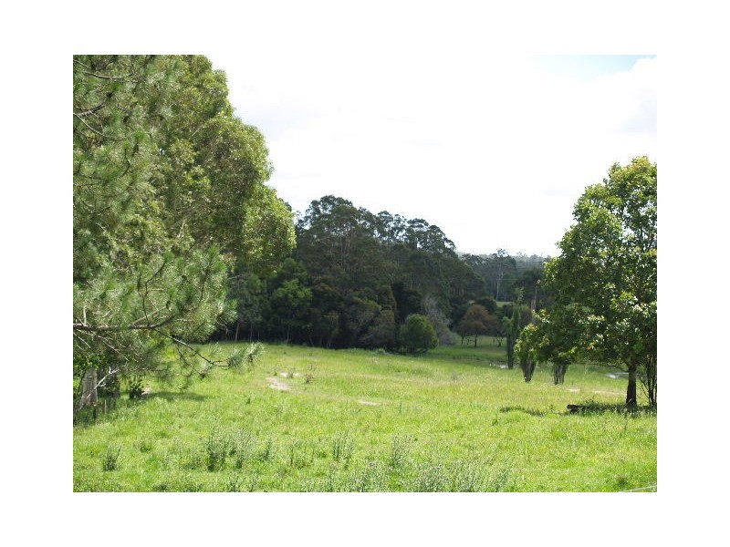 Lot 3, 544 Beechwood Rd, Beechwood NSW 2446