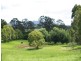 Lot 4, 544 Beechwood Rd, Beechwood NSW 2446