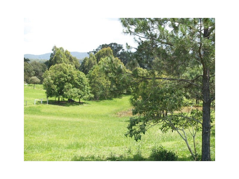 Lot 4, 544 Beechwood Rd, Beechwood NSW 2446