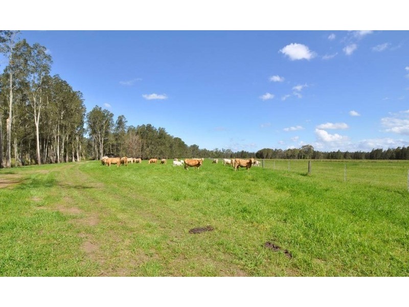 150 Mingaletta Road, Kundabung NSW 2441