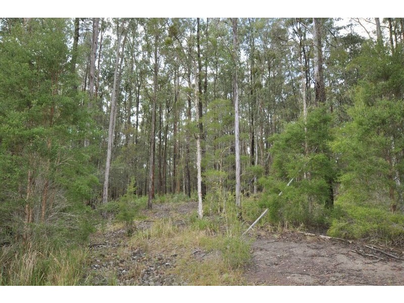 Lot 4 Burrawan Forest Drive, Wauchope NSW 2446