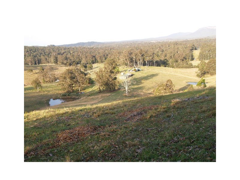 702B Comboyne Rd, Byabarra NSW 2446