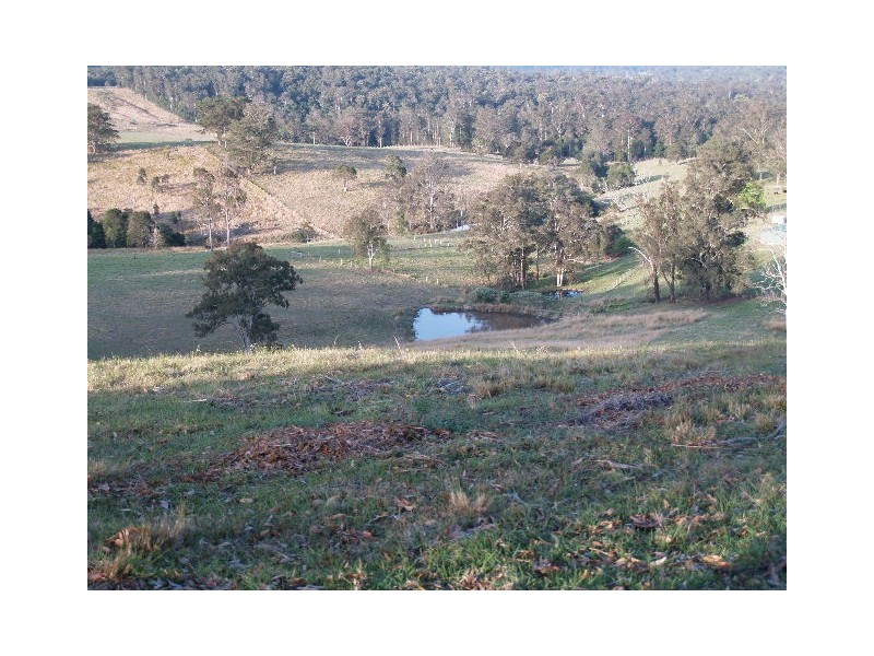 702B Comboyne Rd, Byabarra NSW 2446