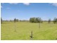 1141 Maria River Road, Limeburners Creek NSW 2444