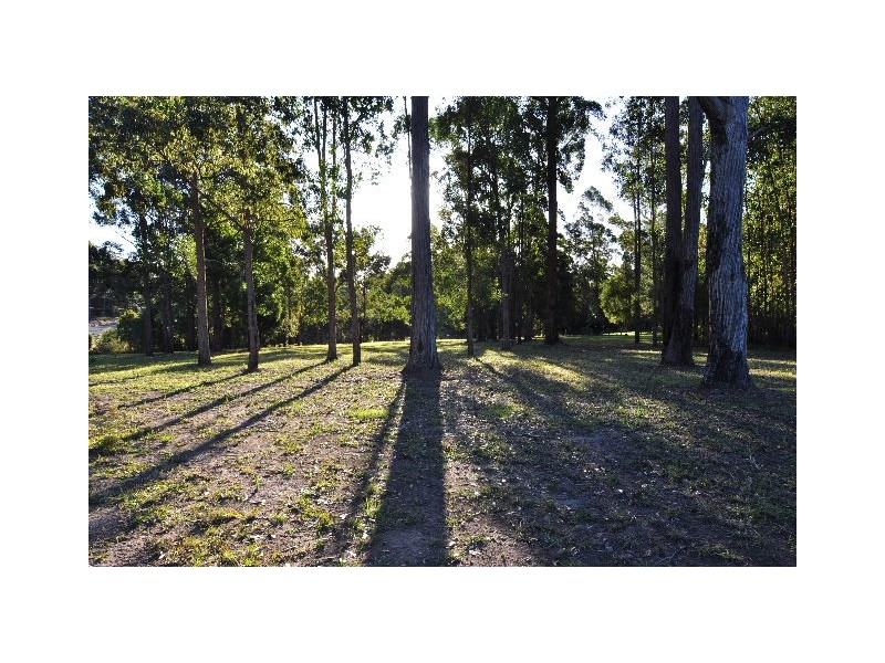 5 Cain Close, King Creek NSW 2446