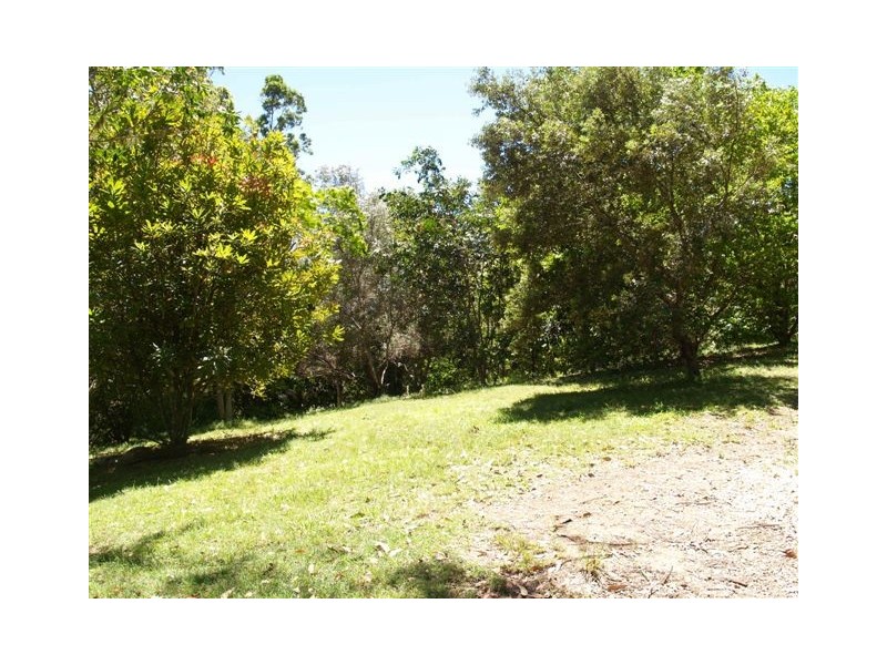 179 Lemon Gum Rd, Pappinbarra NSW 2446
