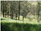 179 Lemon Gum Rd, Pappinbarra NSW 2446