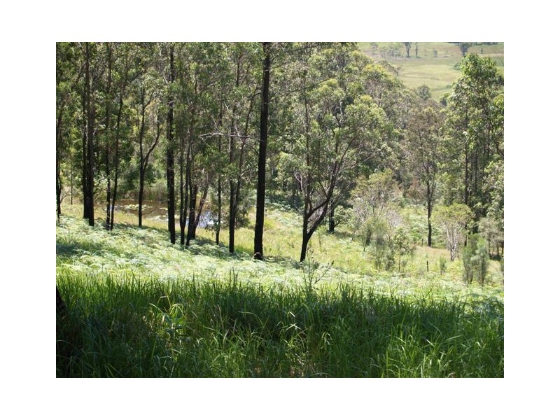 179 Lemon Gum Rd, Pappinbarra NSW 2446