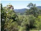 179 Lemon Gum Rd, Pappinbarra NSW 2446