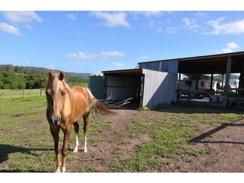 Lot 2 Pipeclay Road, Pipeclay NSW 2446