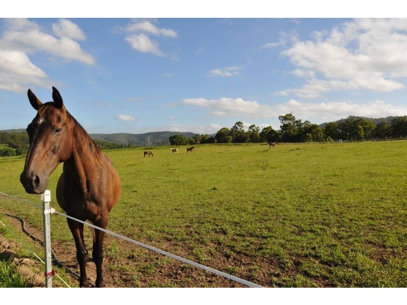 Lot 2 Pipeclay Road, Pipeclay NSW 2446
