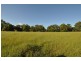 Lot 2 Pipeclay Road, Pipeclay NSW 2446