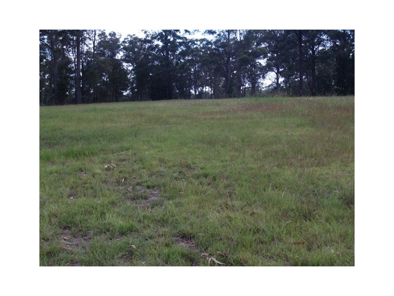 Lot 4/66 Sarahs Crescent, King Creek NSW 2446