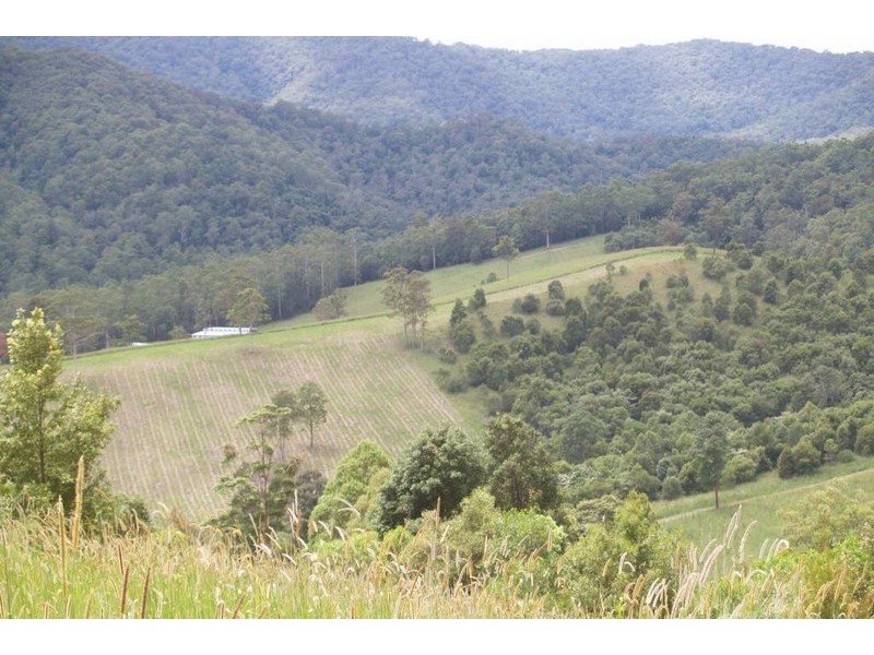 13 Left Arm Road, Pappinbarra NSW 2446