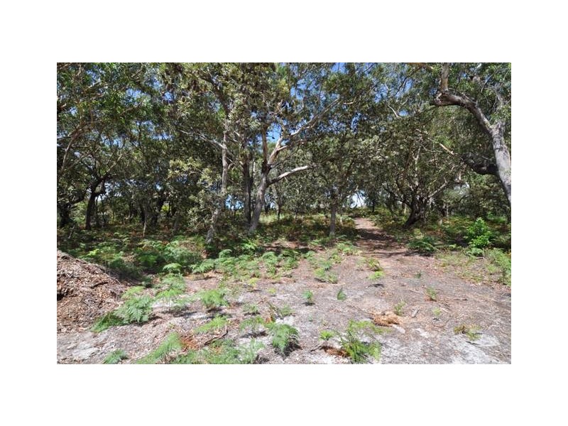 Dunbogan NSW 2443