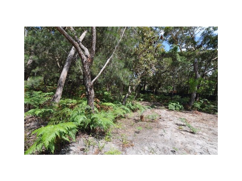 Dunbogan NSW 2443