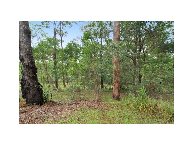 562 Rollands Plains Road, Telegraph Point NSW 2441